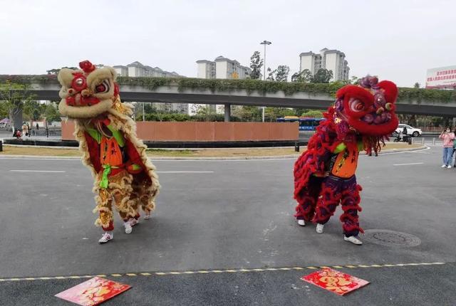 舞龍與舞獅好看嗎？獅舞龍騰威四海，追云逐日逐日氣勢升！(圖9)